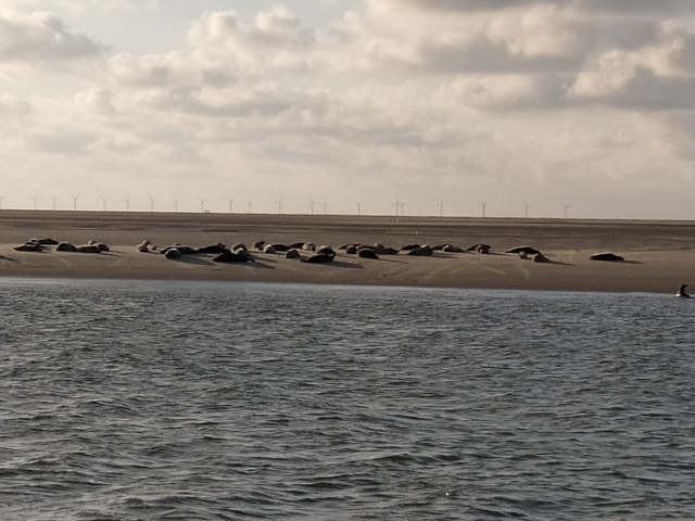 borkum 640 1630311029210