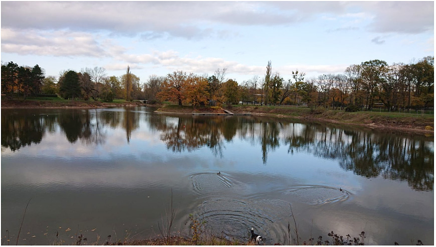 magdeburg rotehornpark foto