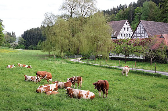 Siebenmühlental 1