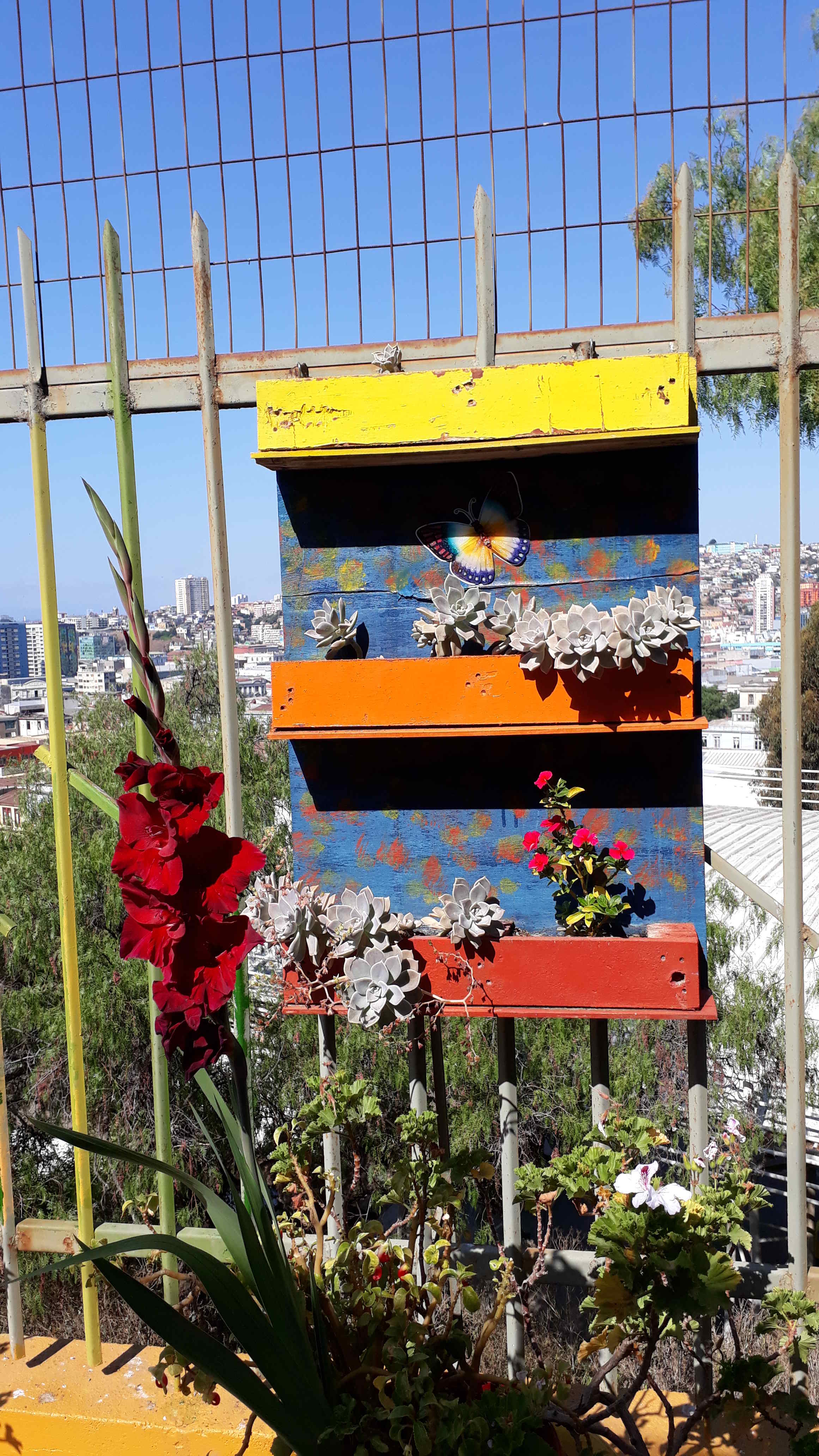 Valparaiso Blumenidee