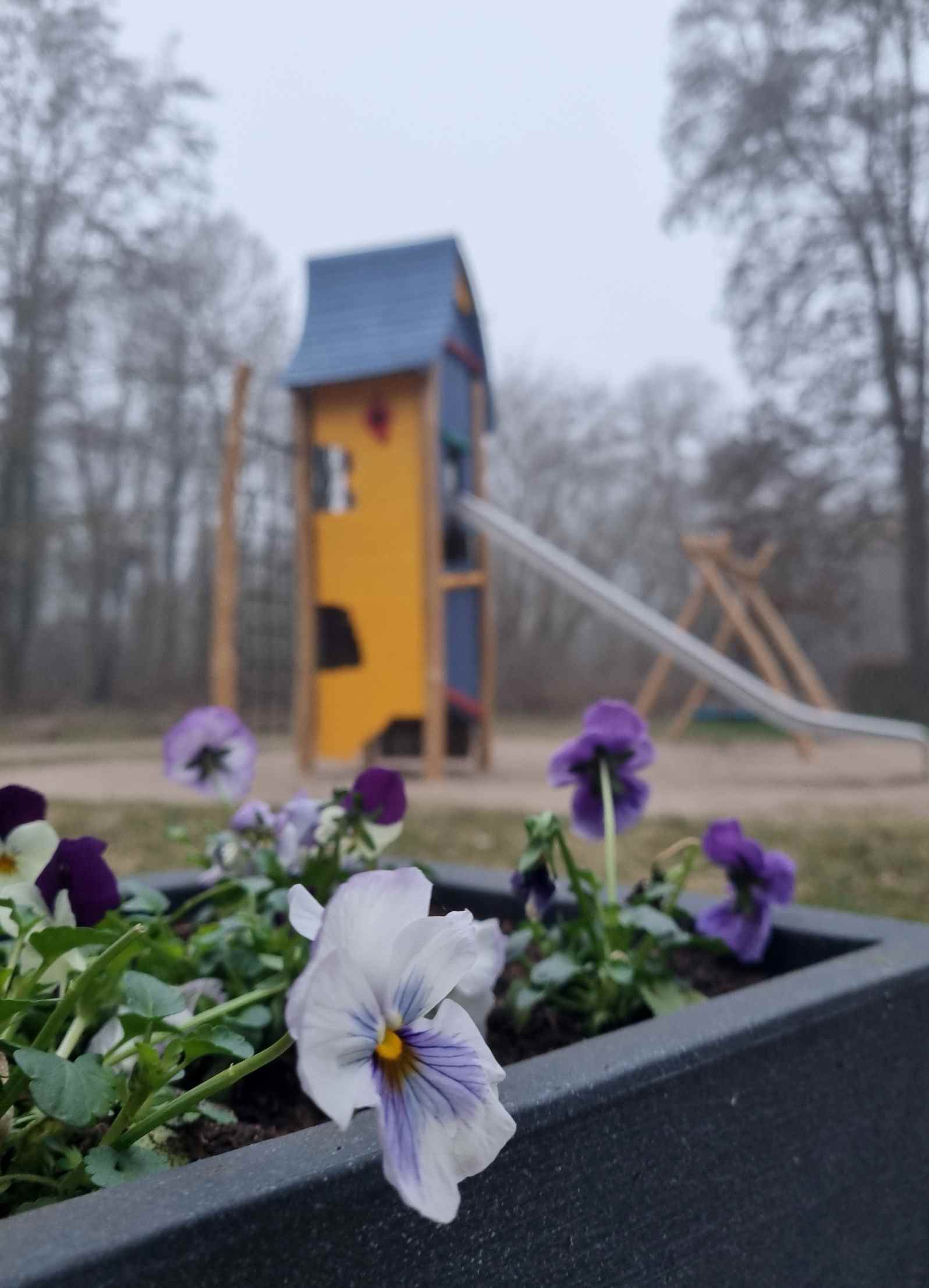 03 26 stilles Erwachen