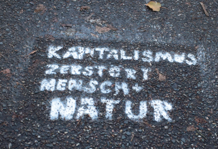 Weltklima Aktionstag Berlin2020 06