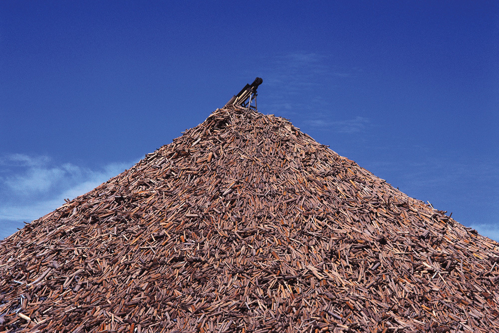 WoodChips Lagerplatz Biomassekraftwerk in USA