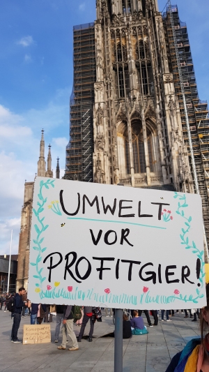 20220923 Umweltvorprofitgier