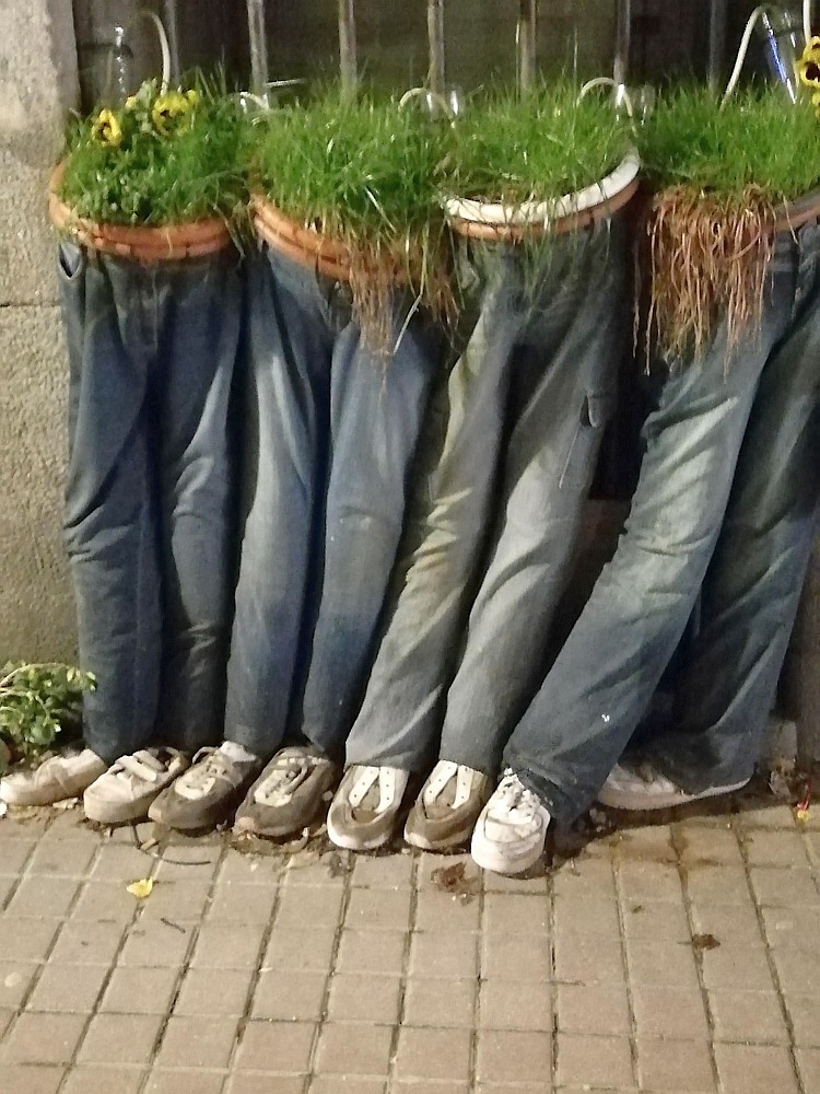 Blumentopf Hosen